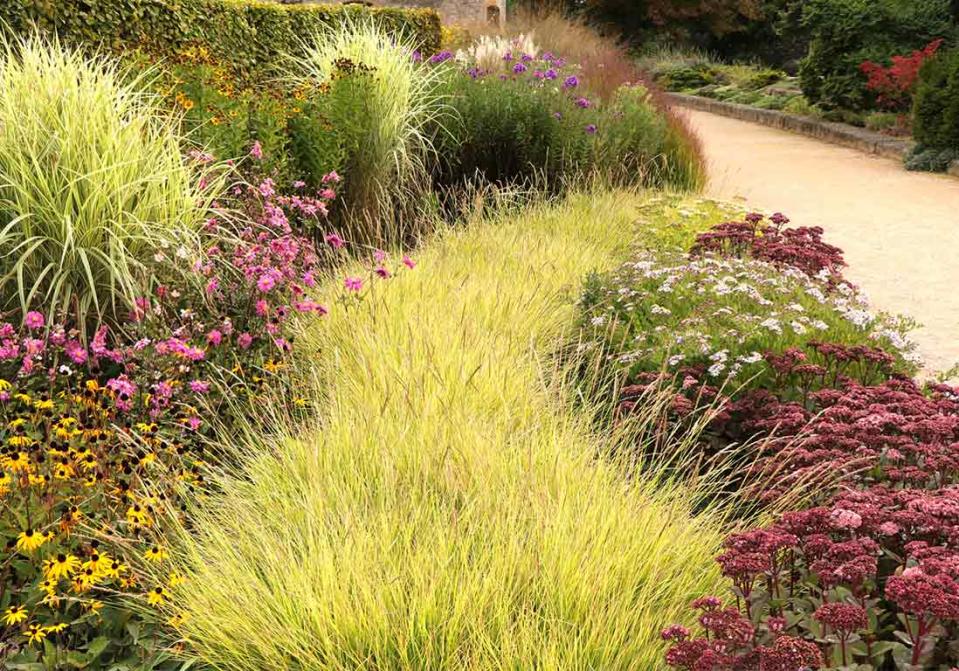 Sedums et plantes vivaces pour massif poétique