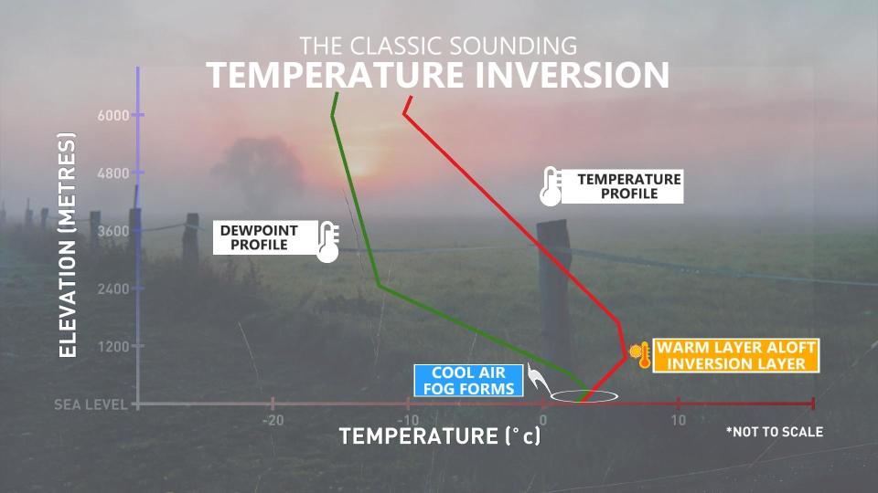 Baron Classic Temperature Inversion Profile Explainer