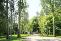 <p>A tree-lined private road leads up to the entrance of Sloblock Hall, guaranteeing peace and quiet.</p>