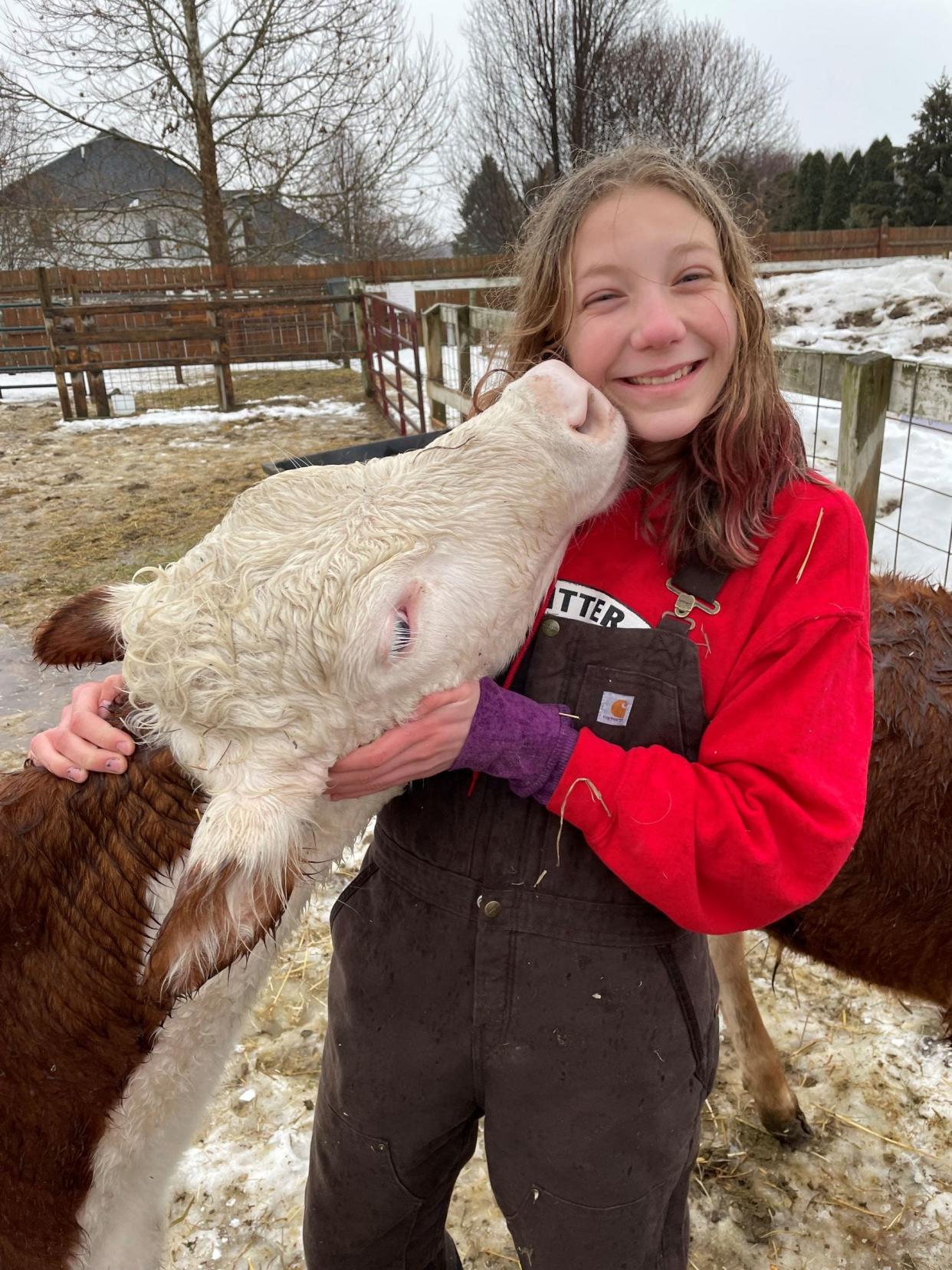 Critter Crew volunteer Araya Betten with a calf named Bella at Critter Barn in Zeeland.