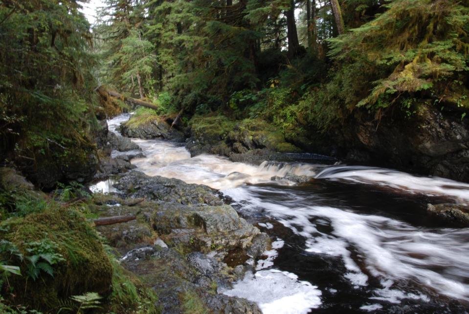 Fall at Log Jam Creek on Prince of Wales Island, Alaska, within Tongass National Forest