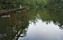 The sky finds a hiding place in the lazy backwaters that never betray a secret.