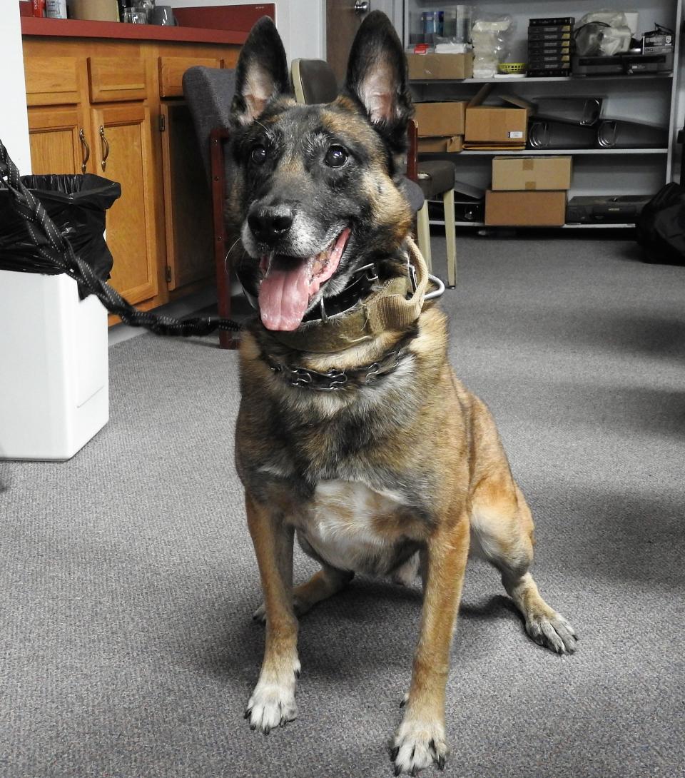 Chili retired recently as a K-9 officer with the Coshocton County Sheriff's Office, having served with Dep. Steve Mox since 2017. Chili was instrumental in searches for crime suspects, loss children, illegal drugs and more.