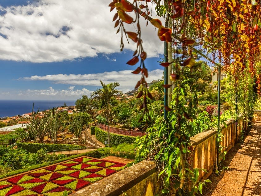 Madeira island, botanical garden Monte, Funchal, Balcony with plants landscape view, Portugal