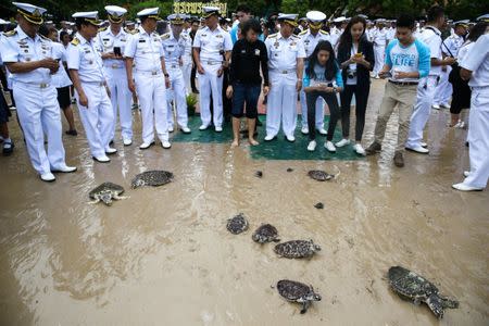 Well-wishers release sea turtles at the Sea Turtle Conservation Center as part of the celebrations for the upcoming 65th birthday of Thai King Maha Vajiralongkorn Bodindradebayavarangkun, in Sattahip district, Chonburi province, Thailand, July 26, 2017. REUTERS/Athit Perawongmetha