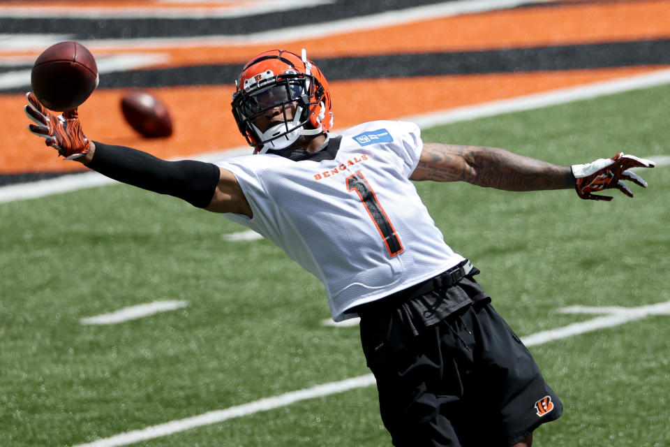 CINCINNATI, OHIO - JUNE 15: Ja'Marr Chase #1 of the Cincinnati Bengals participates in a drill during Mandatory Minicamp on June 15, 2021 in Cincinnati, Ohio. (Photo by Dylan Buell/Getty Images)