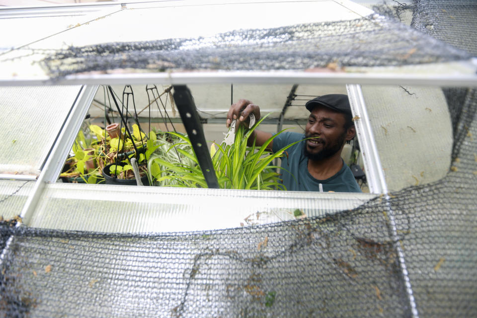 Marcus Bridgewater tends to his backyard herbs and flower garden, Thursday, March 14, 2024, in Spring, Texas. The TikTok content creator speaks with The Associated on how TikTok has transformed his life and the adverse effect a TikTok ban in the U.S. will have on his online space for gardening. (AP Photo/Lekan Oyekanmi)