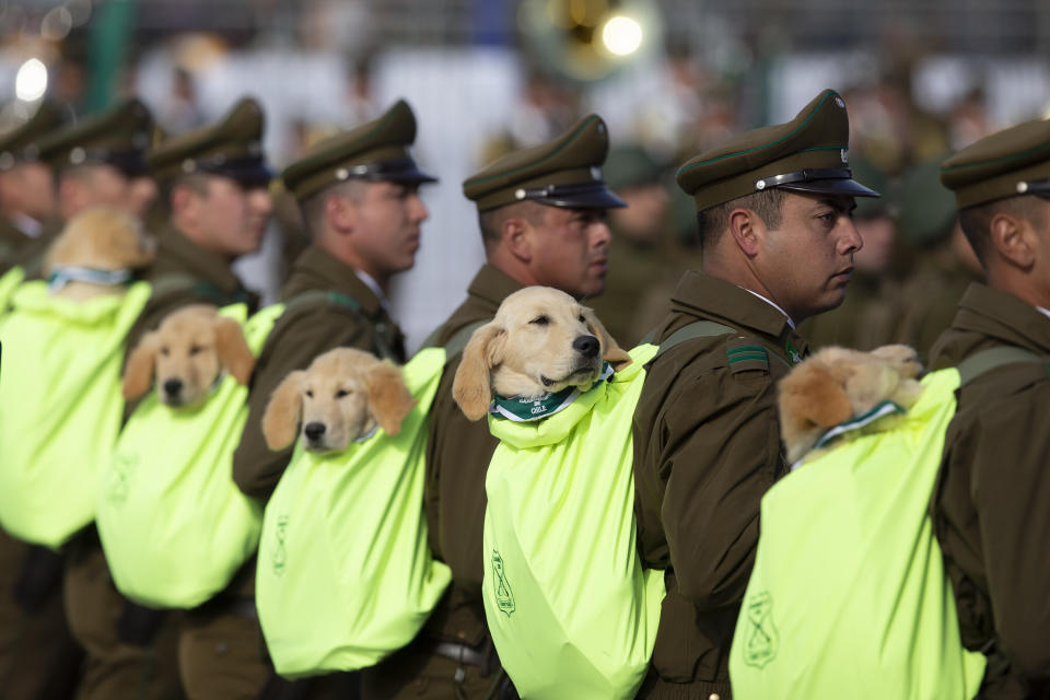 (Photo: CLAUDIO REYES via Getty Images)