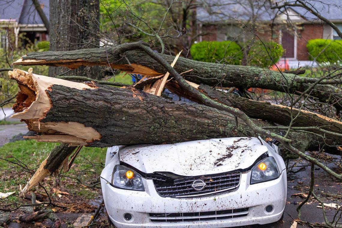 A tree fell on a car on Kastle Road during a storm in Lexington, Ky., on Tuesday, April 2, 2024. Ryan C. Hermens/rhermens@herald-leader.com