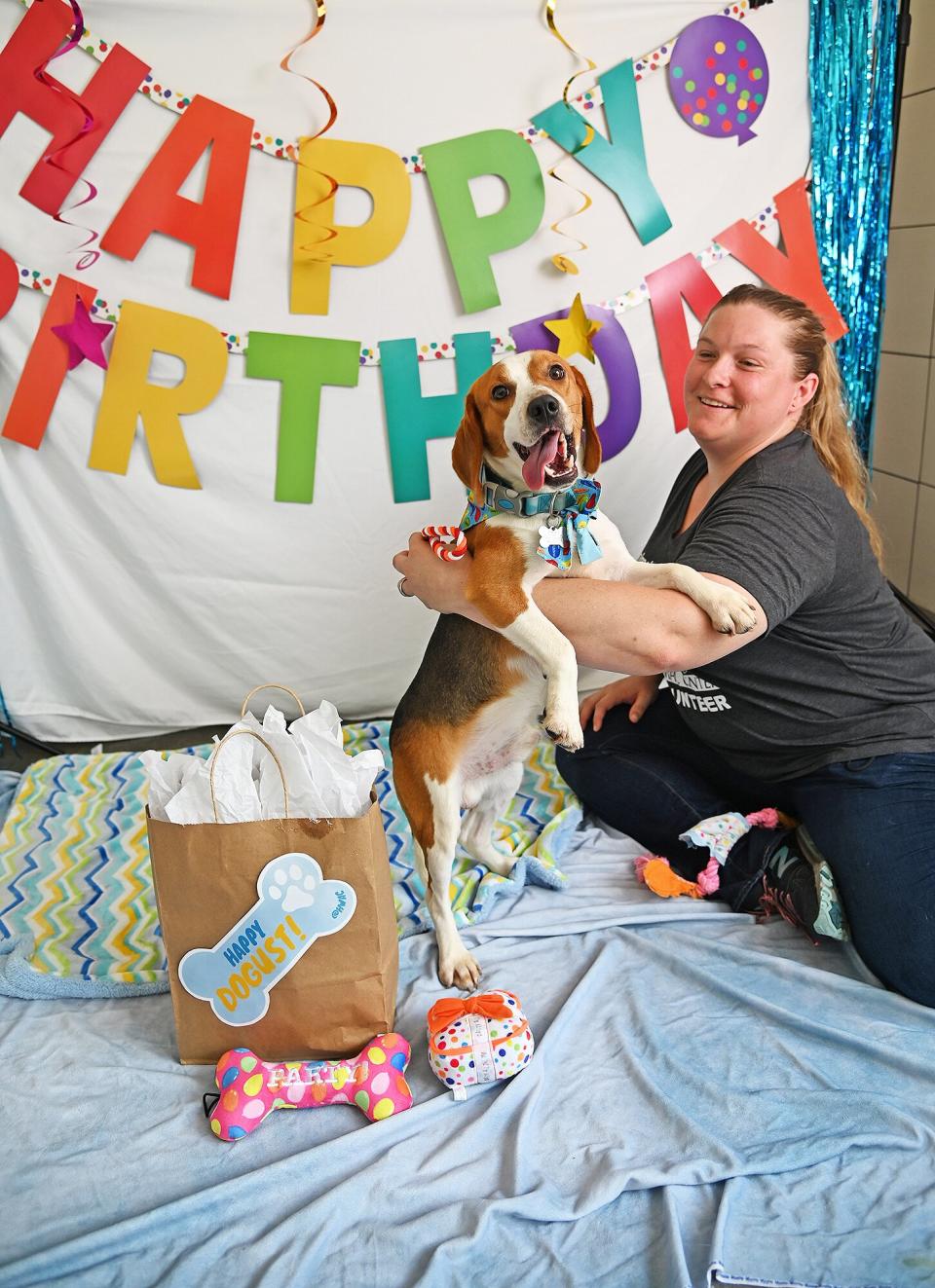 Rescued Beagles