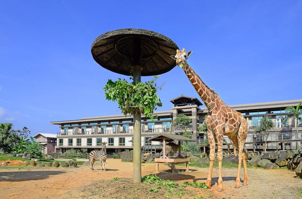 關西六福莊生態度假旅館為全台最大的動物園飯店