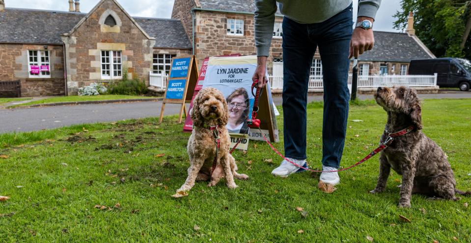 East Lothian, Scotland, UK, 04 July 2024. Dogs at Polling Places: the tradition of photographing dogs kicks off general election day. Pictured: Ralph and Toby, cockapoos, at the village hall in Dirleton. Credit: Sally Anderson/Alamy Live News