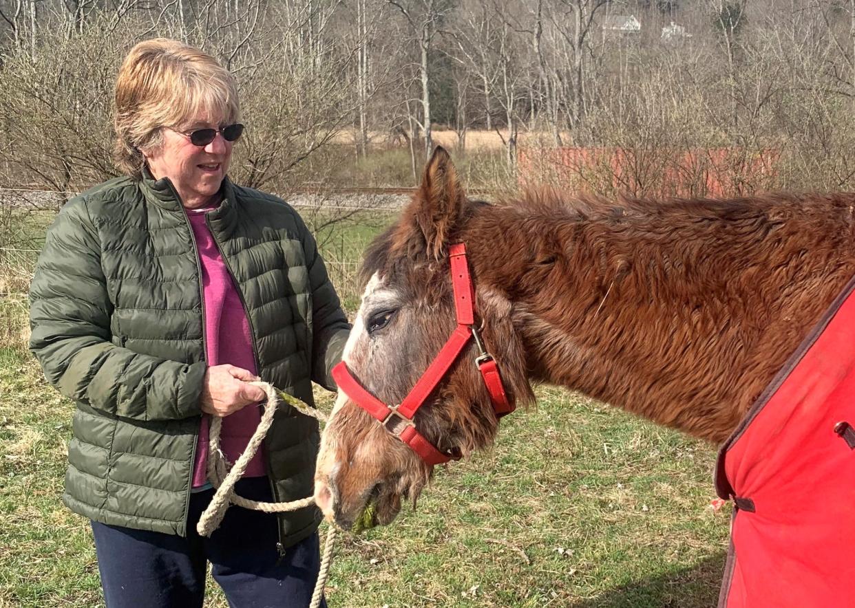 Susan Vanderpool, of Barton, with "Sassy," a 41-year-old registered quarter horse that has lived well past the average life expectancy for an equine.