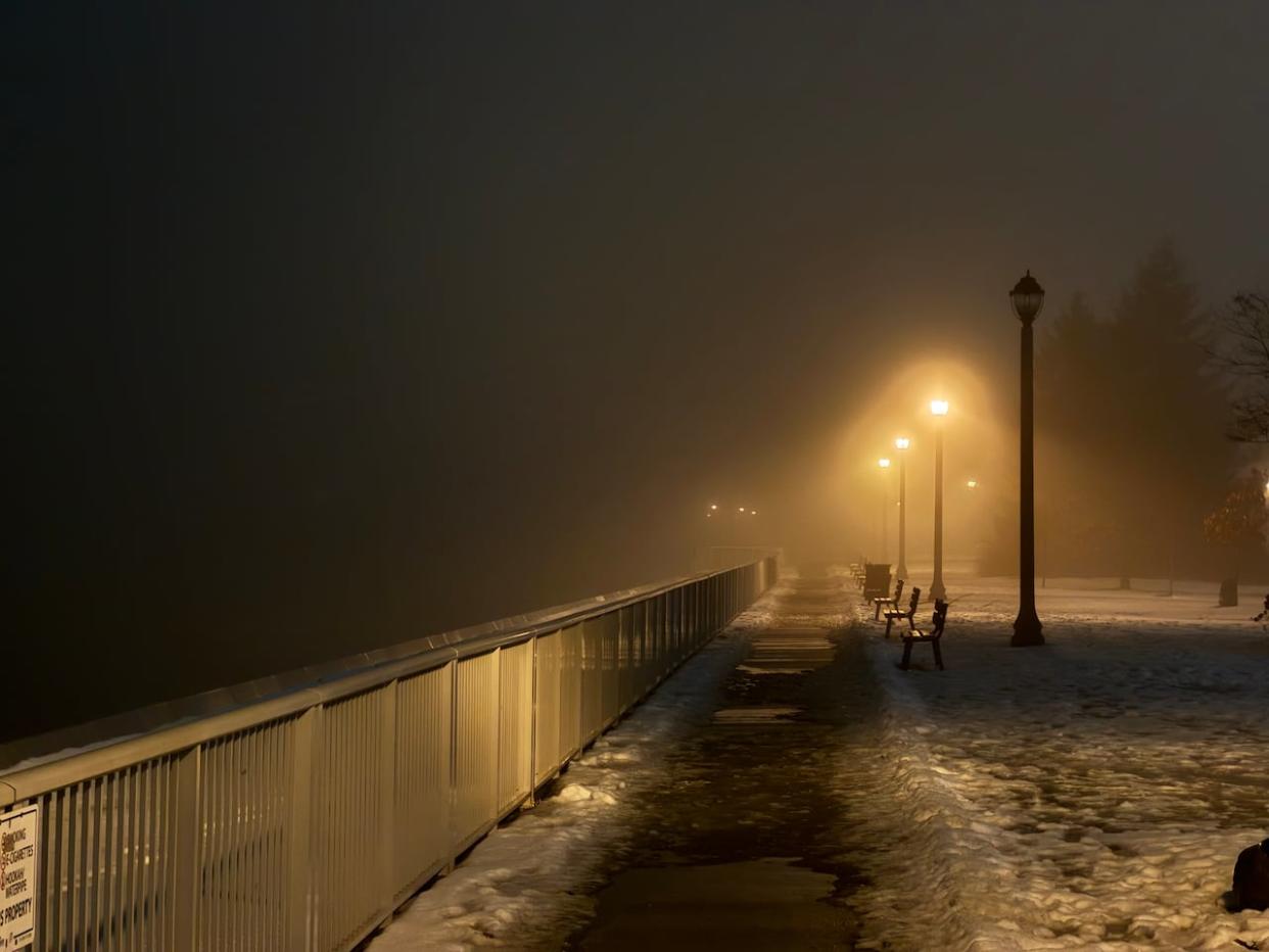 Heavy fog blankets parts of southwester Ontario Wednesday morning including along Windsor's riverfront. (Amy Dodge/CBC - image credit)