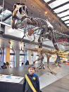矢志當考古學家的Kyle愛研究恐龍，去年到美國Natural History Museum參觀恐龍骸骨，即時回答導賞員現時最完整的恐龍骸骨是Sue。