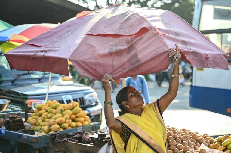 Une vendeuse installe un parassol à Bengalore le 29 avril 2024 (Idrees MOHAMMED)