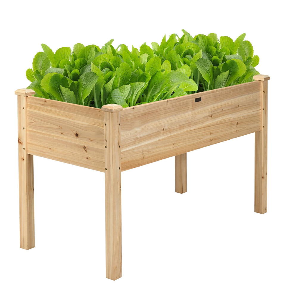 <p><a href="https://go.redirectingat.com?id=74968X1596630&url=https%3A%2F%2Fwww.walmart.com%2Fip%2FCostway-Wooden-Raised-Vegetable-Garden-Bed-Elevated-Grow-Vegetable-Planter%2F196023985&sref=https%3A%2F%2Fwww.housebeautiful.com%2Fshopping%2Fbest-stores%2Fg60883924%2Fwalmart-outdoor-furniture-sale-may-2024%2F" rel="nofollow noopener" target="_blank" data-ylk="slk:Shop Now;elm:context_link;itc:0;sec:content-canvas" class="link ">Shop Now</a></p><p>Wooden Raised Vegetable Garden Bed</p><p>walmart.com</p><p>$89.99</p>