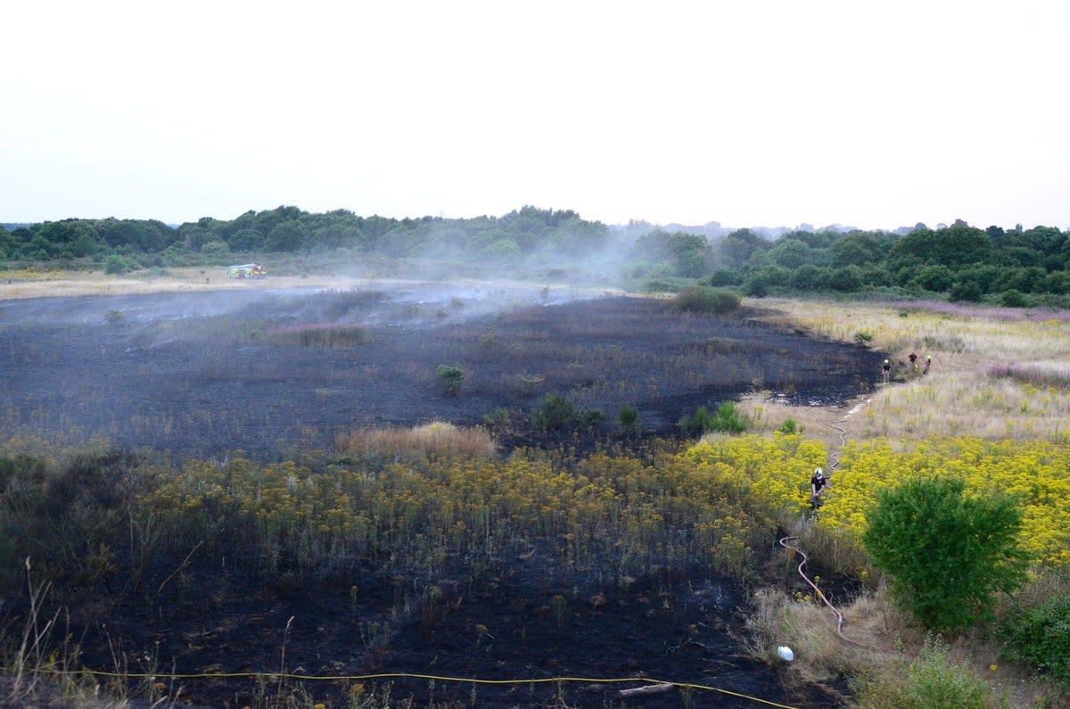 Fire services in Norfolk and Suffolk declared major incidents as crews battled multiple blazes sparked by tinder-dry conditions (Suffolk Fire & Rescue Service/PA) (PA Media)