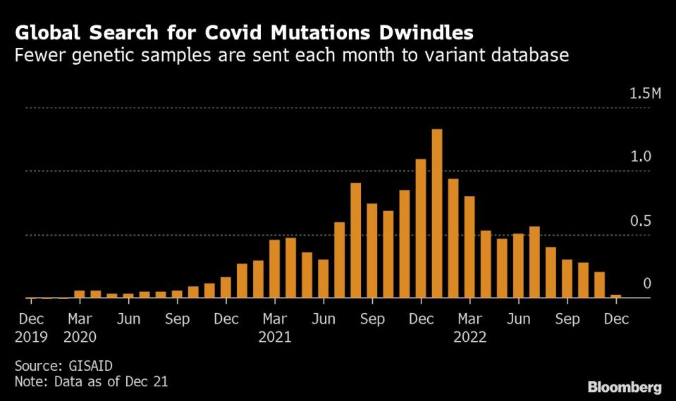 La búsqueda global de mutaciones de covid se reduce. Cada vez se envían menos ejemplos genéticos a las bases de datos. Gráfico: Bloomberg. 