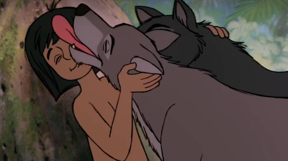 wolves licking Mowgli's face