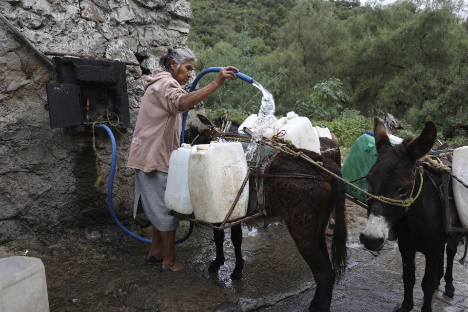 Emilia Segura fills containers with water at a free, public well in Pueblo Santa Cruz Acalpixca, Xochimilco, on the outskirts of Mexico City, Saturday, Oct. 7, 2023. Segura, 62, has been selling water daily for over a decade with the help of her four donkeys. The system which provides the capital with over a quarter of its drinking water is 44% lower than it should be and have set a new record, according to government figures, and authorities have begun cutting water to the city. (AP Photo/Ginnette Riquelme)