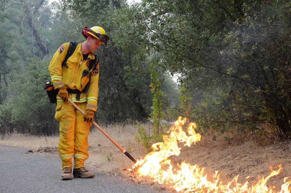 A Cal Fire Butte County Strike Team firefighter lights brush to burn away excess fuel along Zogg Mine Road near Igo, Calif. on July 28, 2018. 
