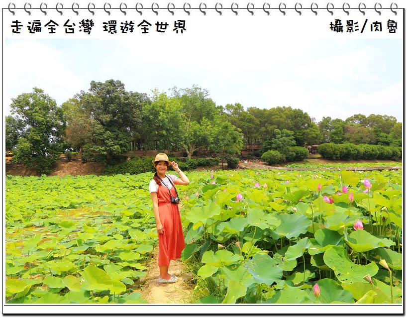 白河蓮花公園