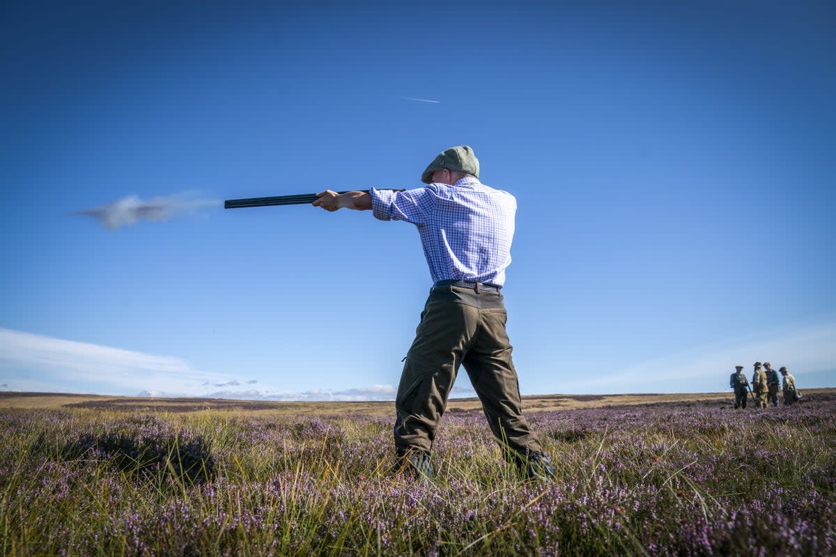 A member of a shooting party takes to the moors of Perthshire on the Glorious 12th (Jane Barlow/PA) (PA Wire)