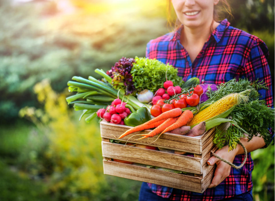 femme tenant une boîte de légumes