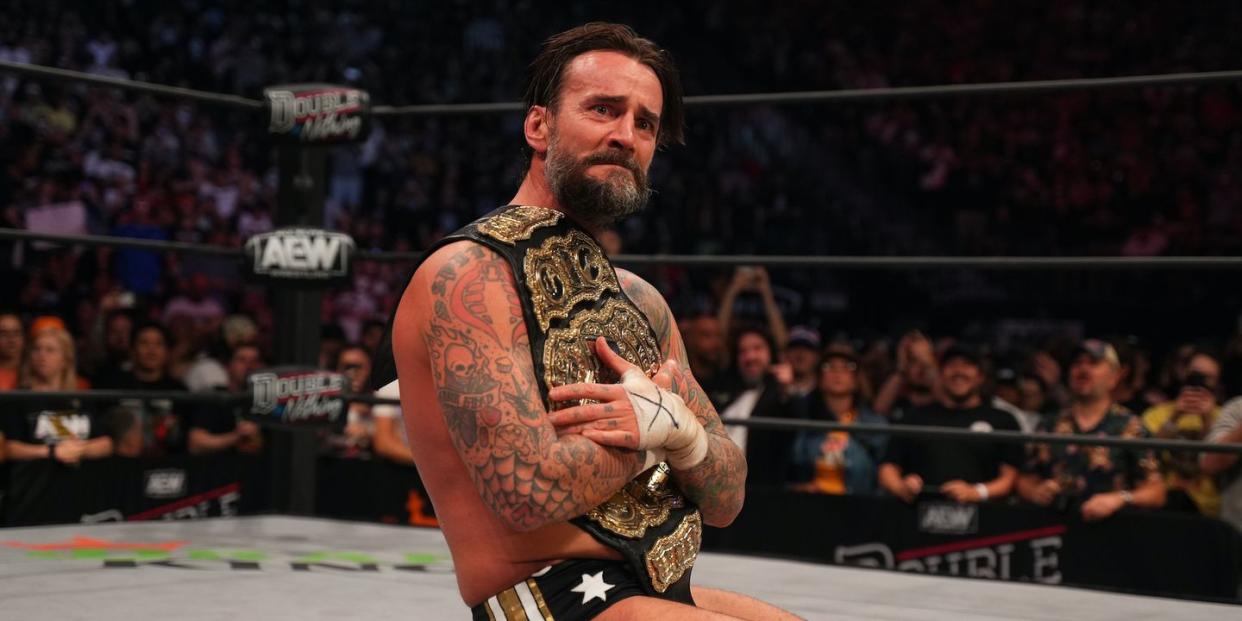 aew world champion cm punk