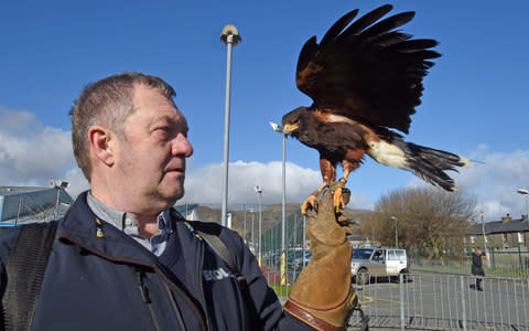 John Evans with bird of prey drafted in at Ysgol Eifion Wyn, Porthmadog to rid the area of gulls - Credit: Daily Post Wales 