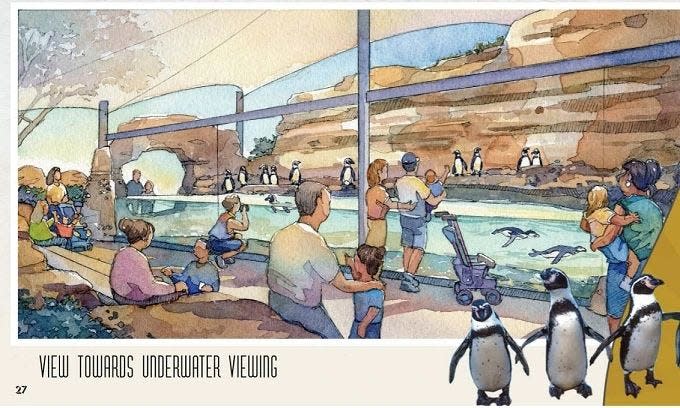 A rendering of what the penguin encounter underwater viewing area may look like at the El Paso Zoo when it's completed.