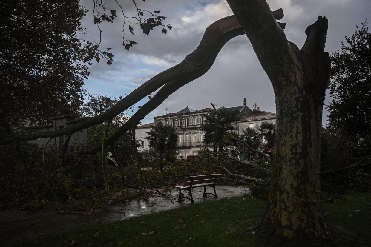 This photo taken on November 5, 2023 shows destroyed trees after Storm Domingos affected the area, near Rochefort, south-western France. Two days after Ciaran, a new storm named Domingos swept across France, causing power cuts and keeping 12 departments on orange alert across the country. (Photo by Philippe LOPEZ / AFP)