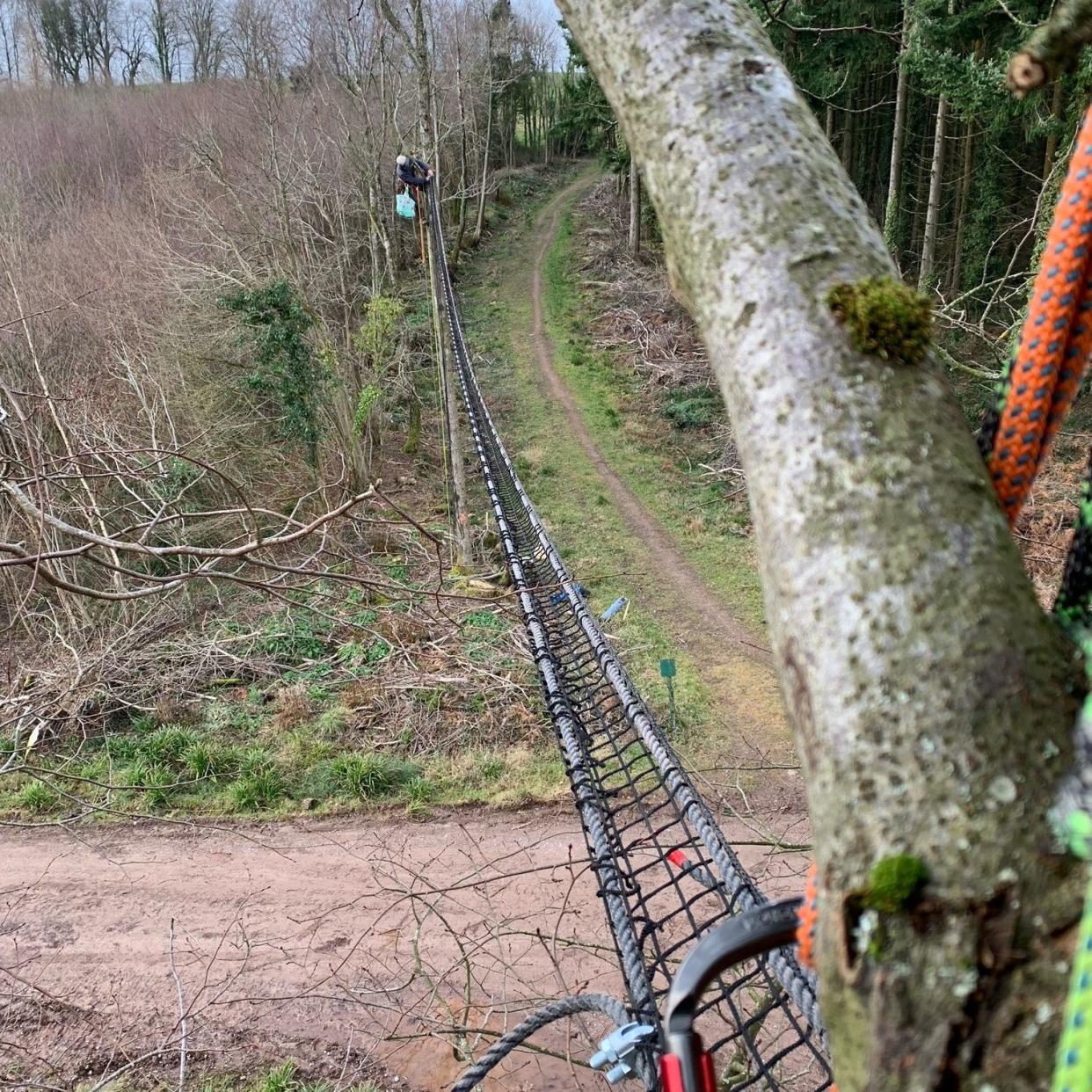 Forestry England built two 20-metre long bridges that run 16-feet high over a forest road