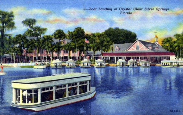 This circa 1950s postcard shows the popular glass-bottomed boats at Silver Springs State Park. Restoration of the Ocklawaha River could bring a boost to area tourism.