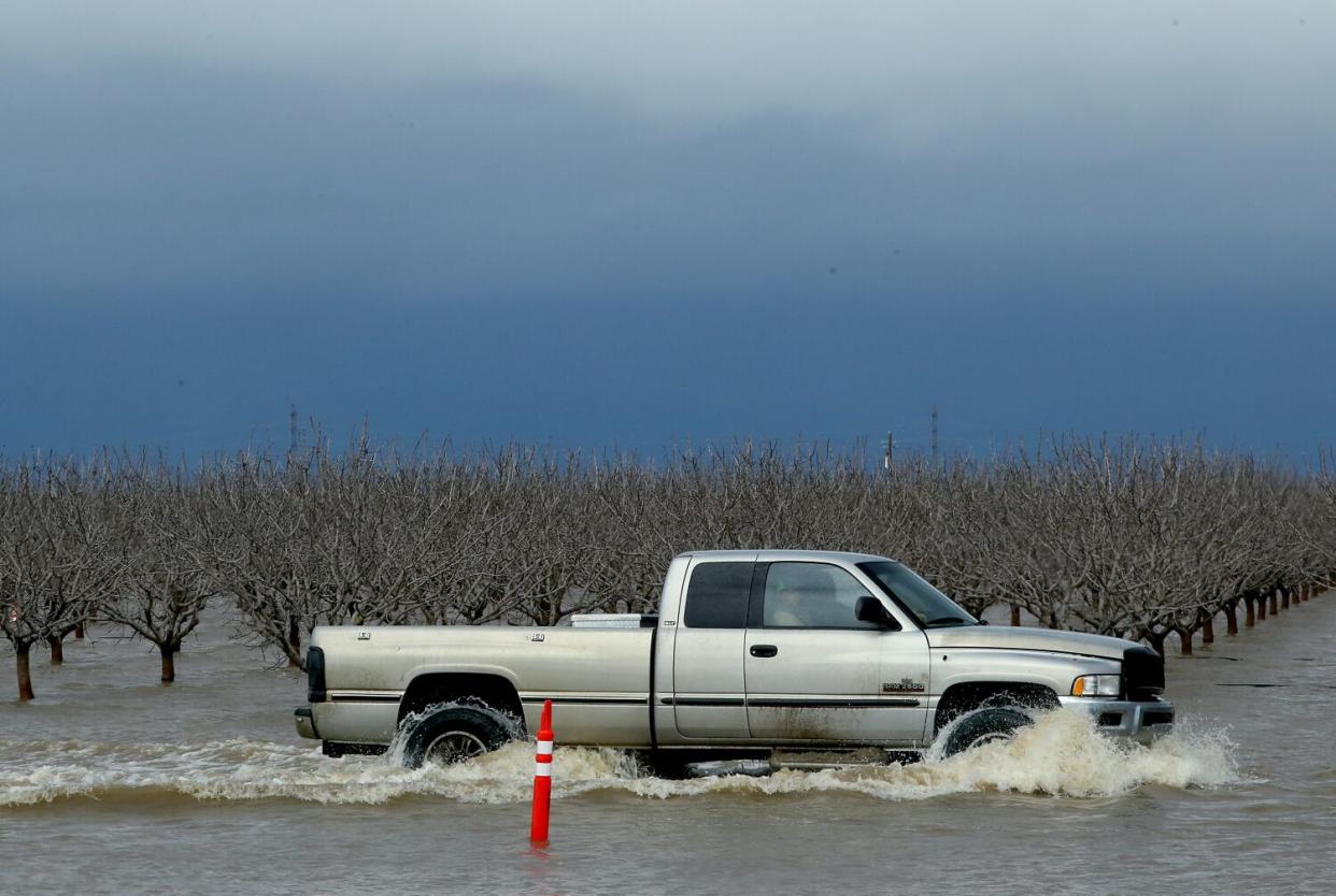 A truck drives through a flooded field with a lot of trees.