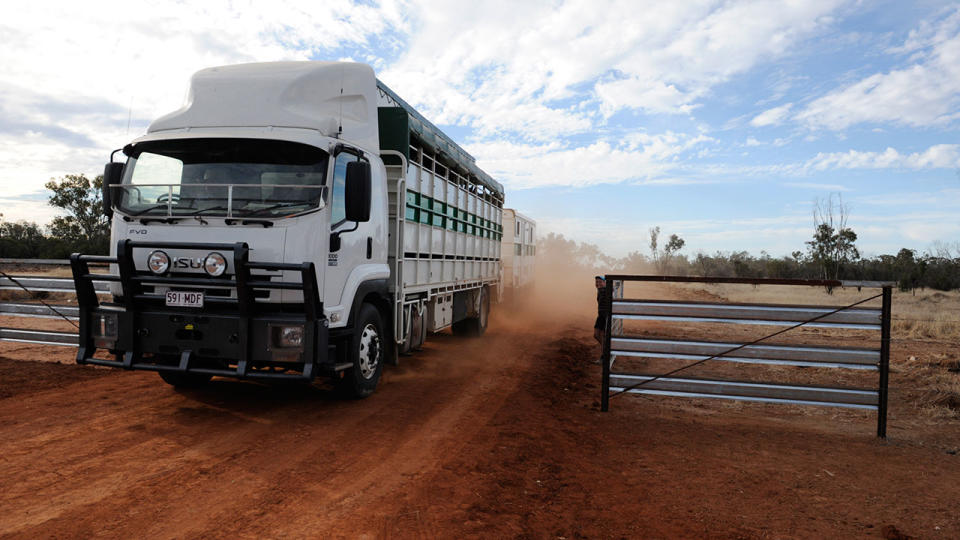 A man has died and two others are injured after a truck carrying horses rolled in NSW. Photo: AAP, file