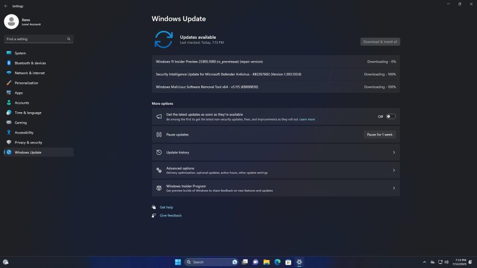 Windows 11 Update repair option in Settings