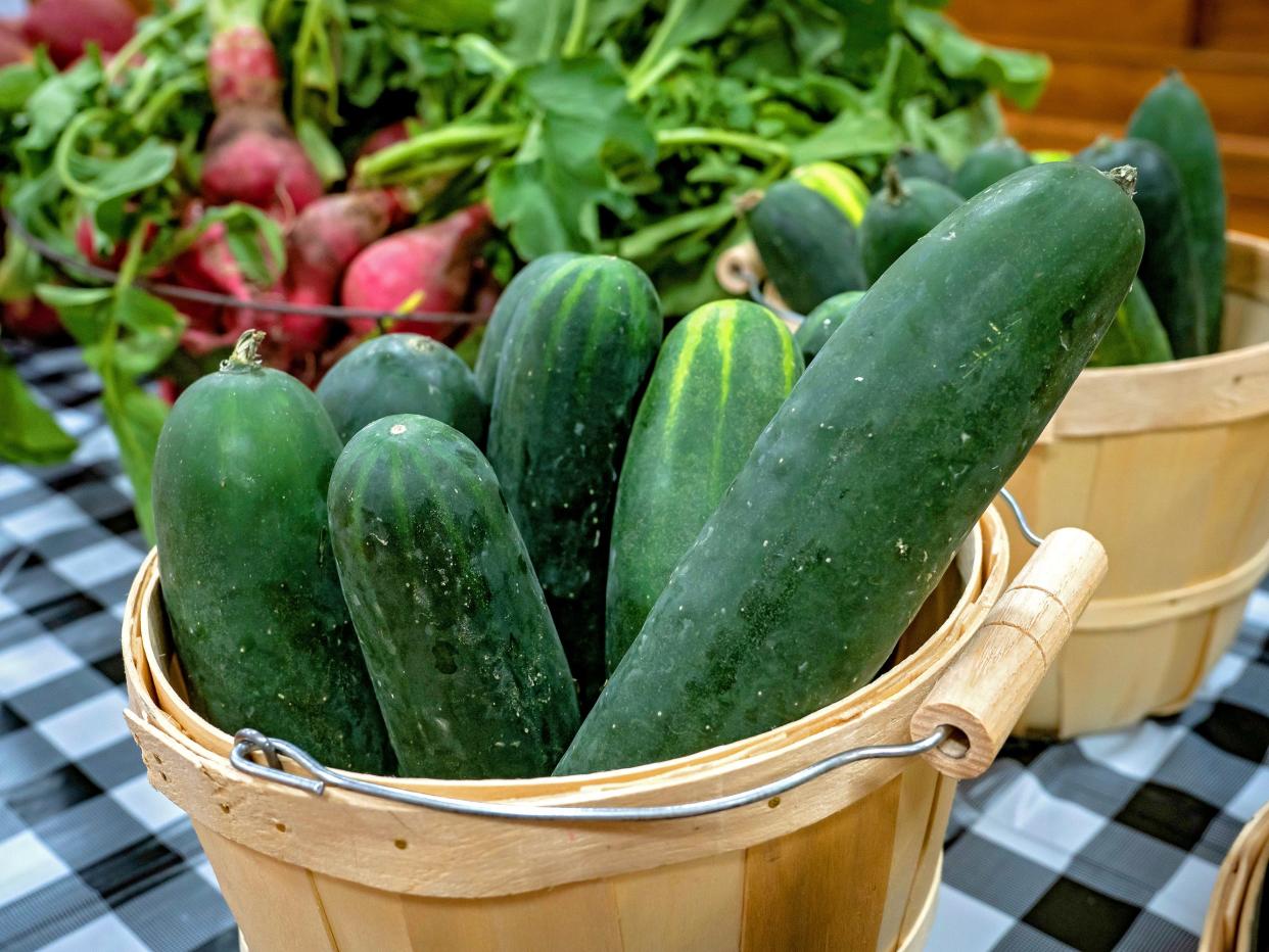 Cucumbers from a garden. PROVIDED/MITCHELL ALCALA-OSU AGRICULTURE