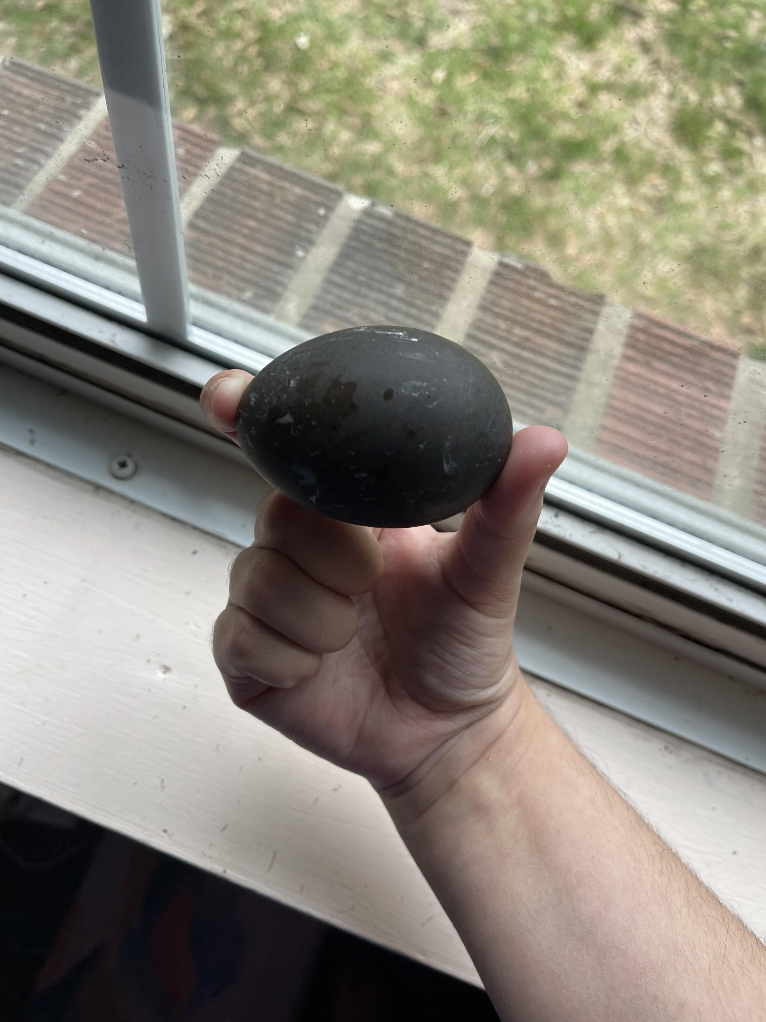 A hand holding an oval-shaped stone near a window with a view of a brick surface outside