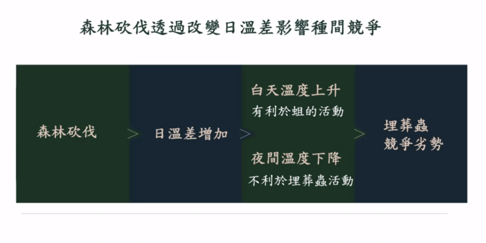 森林砍伐透過改變日溫差影響種間競爭。（圖片來源：中研院沈聖峰研究團隊簡報）