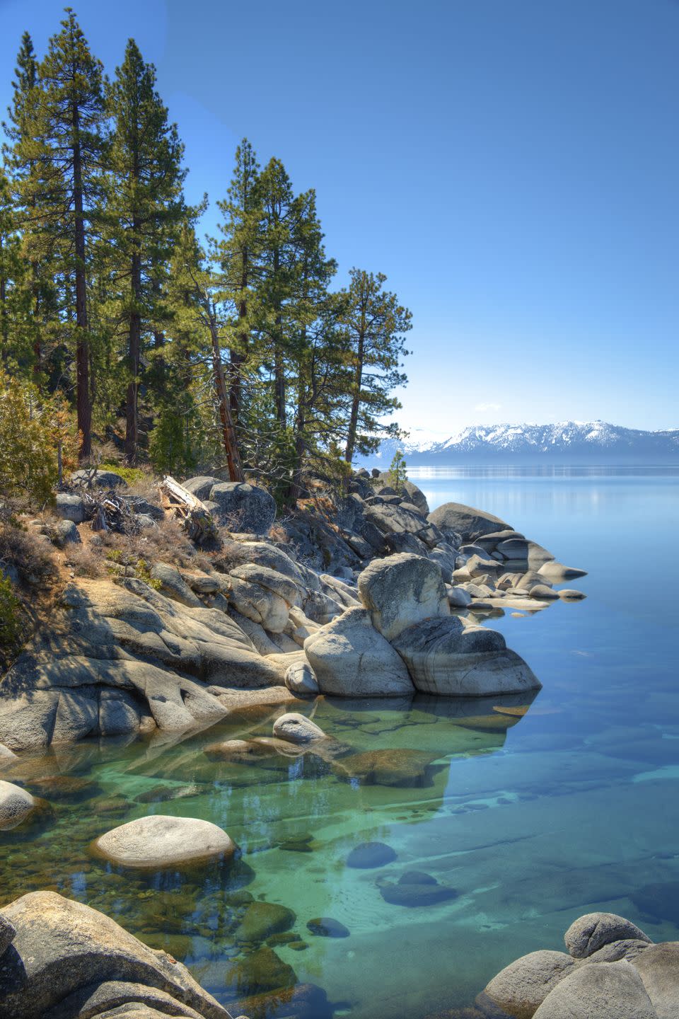 Logan Creek, Nevada