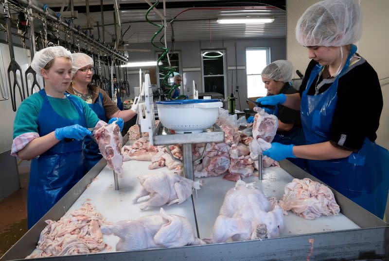 FILE PHOTO: Small meat processors backlogged as virus idles big plants