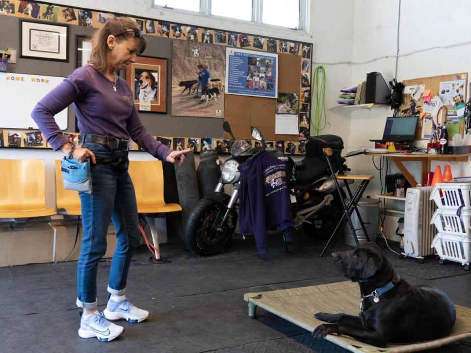 Nancy-Lynn Stoller gives a command to a dog in her home dog training business Awesome K9. Stoller says dogs sense it right away if you're not confident. (Jean Delisle/CBC - image credit)