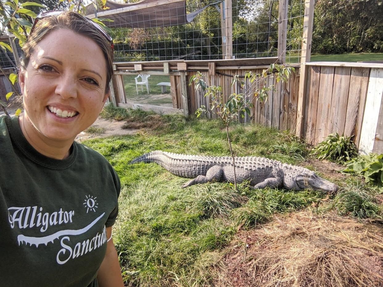 Angelina Kelly, director of the Critchlow Alligator Sanctuary in Athens, Michigan, with Godzilla, one of the residents.