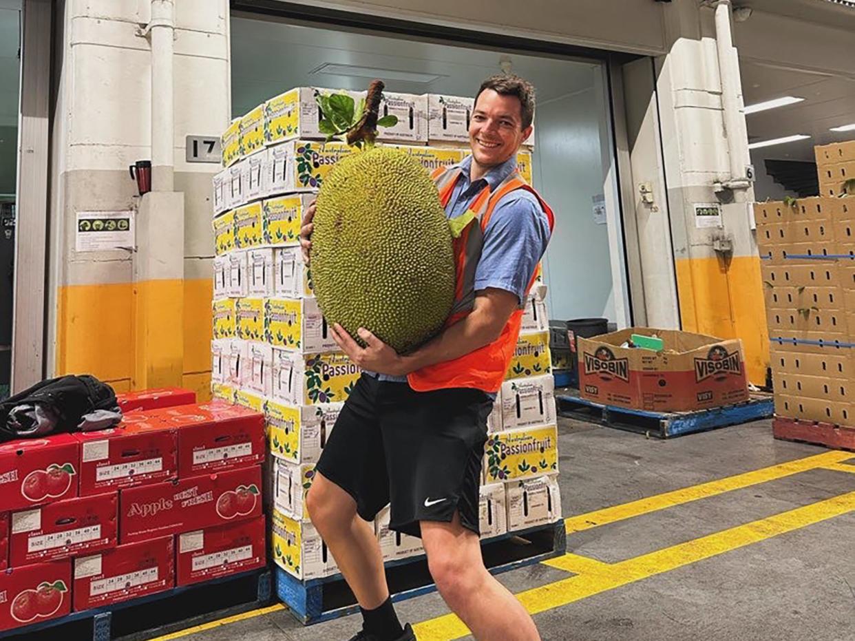 <span>A Brisbane market worker carries the jumbo jackfruit grown on Peter Brighton’s farm in far north Queensland. </span><span>Photograph: Supplied by Peter Brighton</span>