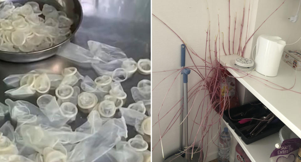 Left are used condoms a Vietnamese factory were caught washing. Pictured right is a woman's potatoes taking over her apartment.
