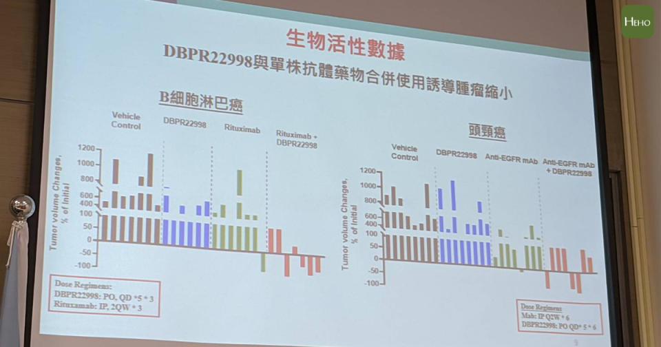 小分子isoQC 制劑的動物研究成果，可看出在B細胞淋巴癌及頭頸癌中，有 50% 的腫瘤消失。記者謝承恩拍攝