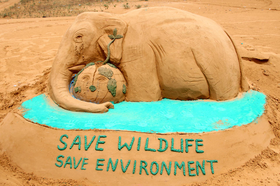 Sand Artist gives final touches to sand sculpture of an elephant, representing the recently killed wild pregnant elephant of Kerala, with the message 'Save Wildlife Save Environment', on the eve of World Environment Day, in Pushkar, Rajasthan, India on June 4, 2020. (Photo by Himanshu Sharma/NurPhoto via Getty Images)