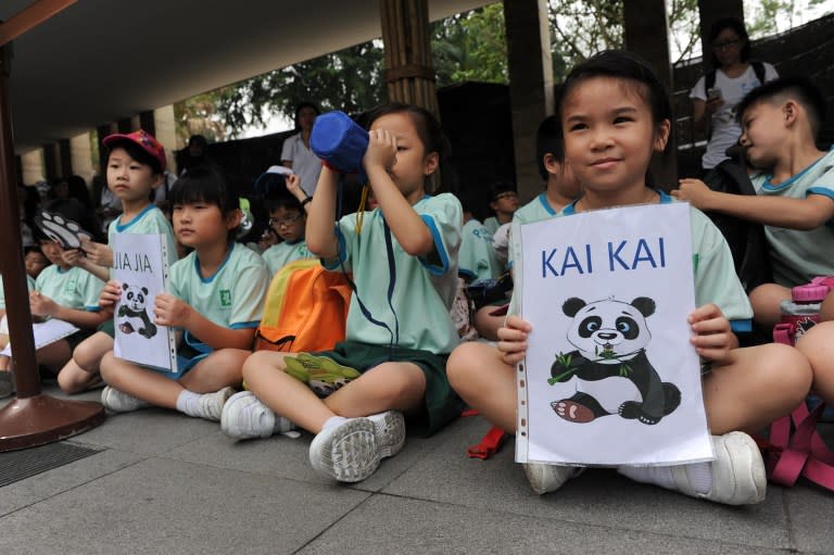 Pandas - Jia Jia and Kai Kai